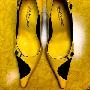 Charles David Women’s Pumps